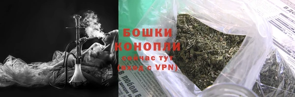 спайс Няндома